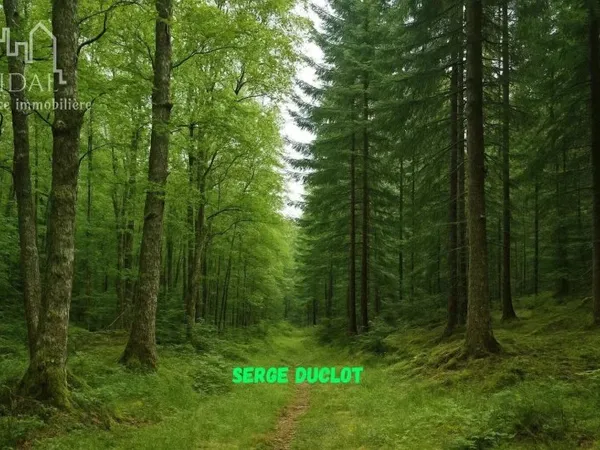 PROPRIÉTÉS FORESTIÈRES (FAYARD)