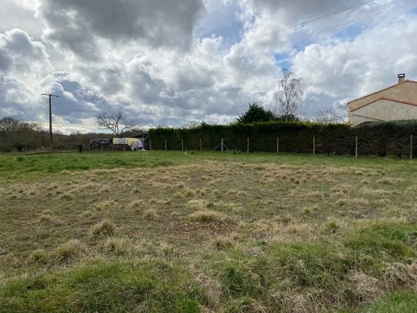 Terrain 230 m²