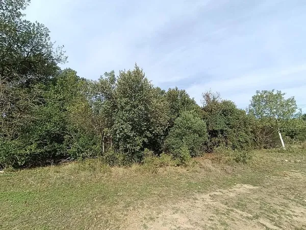Terrain boisé 1083 m²