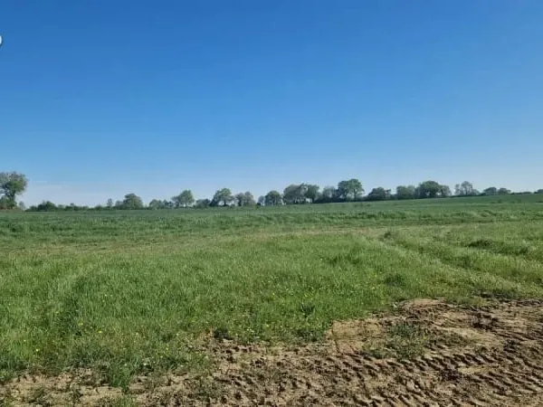 Terrain 356 m²