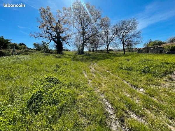 Terrain constructible 1 341 m² + bâtisse en pierre - Vertheuil bourg