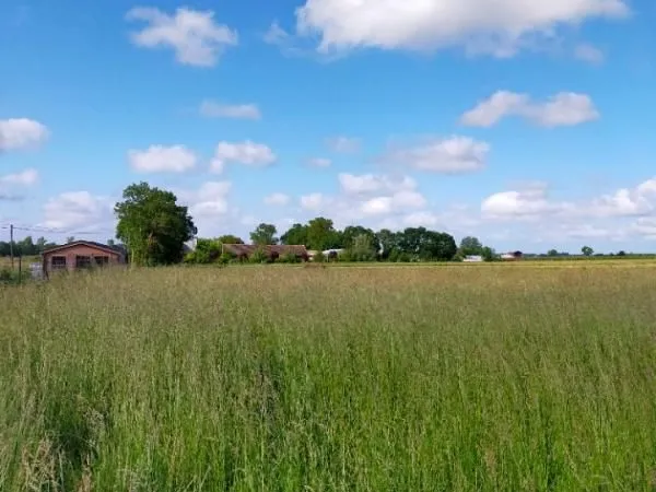 Terrain 650 m² Nercillac