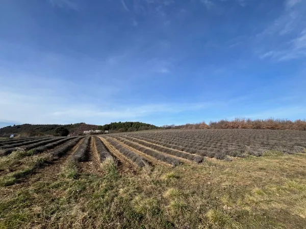 Terrain 795 m²