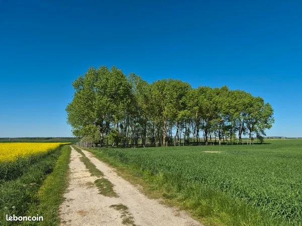 Terrain de loisirs