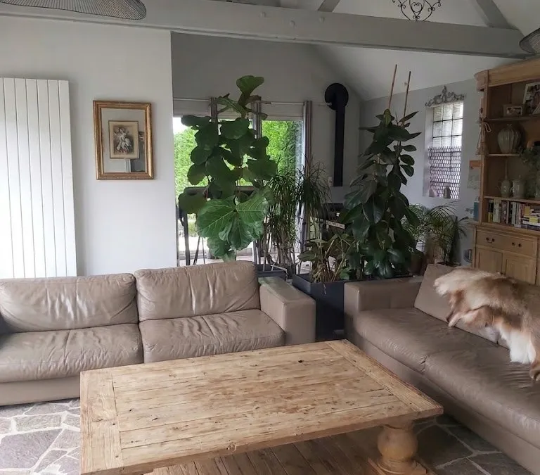 Photo 6