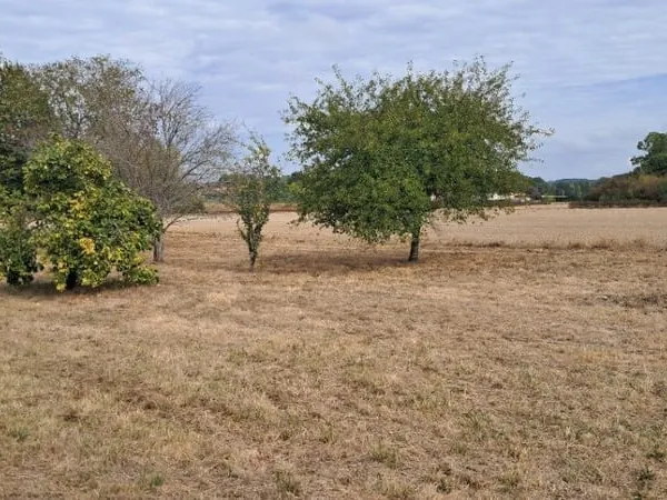 Terrain 1445 m²
