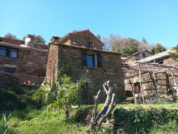Propriété 6 pièces 116 m²