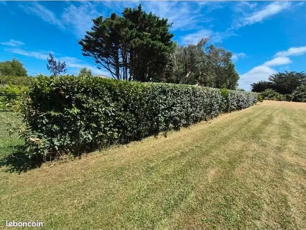 Terrain 945 m² La Plaine Sur Mer