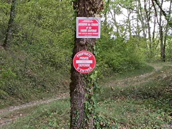 Truffière, bois et terrain de loisir