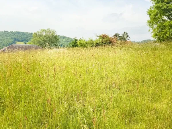 Terrain 3370 m²