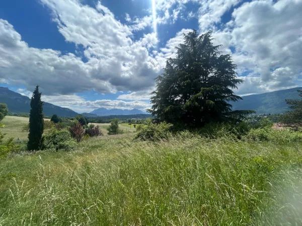 Terrain 3546 m²
