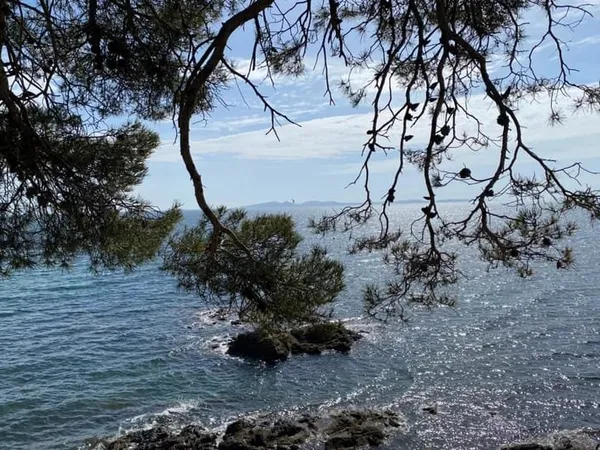 LA LONDE MAISON T5 DIRECT PLAGE