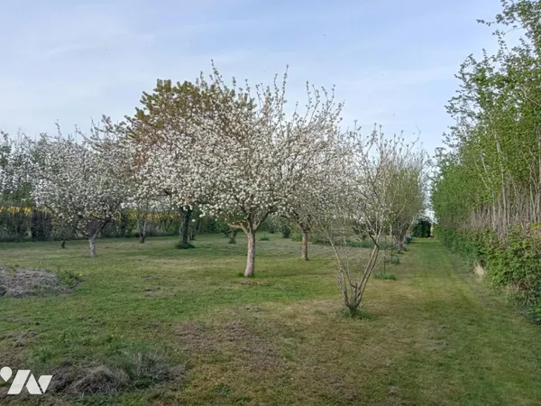 Terrain 1350 m²