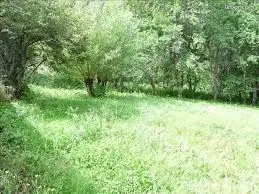 TERRAIN 820m²