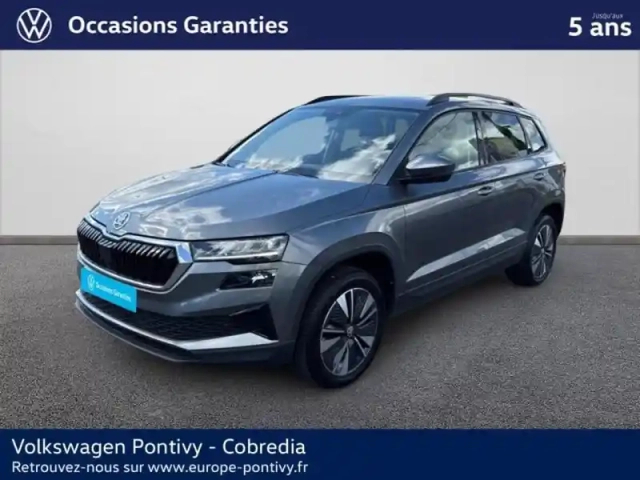 Skoda Karoq 2.0 tdi 116ch scr business dsg7