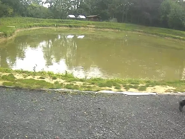 Plan d'eau Vente Hasnon  6000m² 90000€