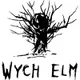Wych Elm