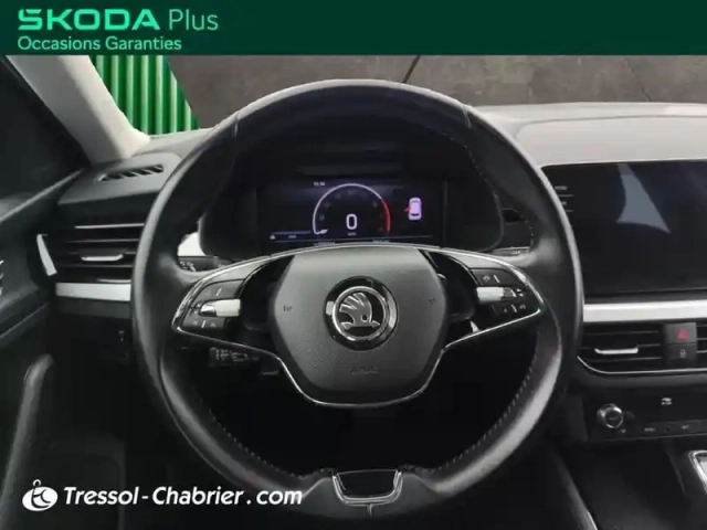 Skoda Kamiq 1.0 tsi evo 110 ch dsg7 business — photo 12