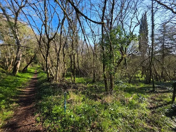 Propriété de loisirs 7010 m²