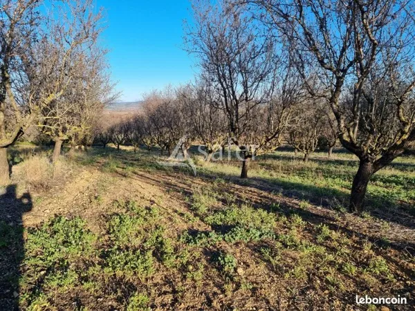 Terrain 54561 m² Pézenas
