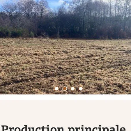 Terrain constructible