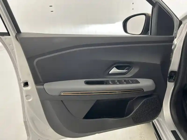 Dacia Sandero eco-g 100 — photo 20