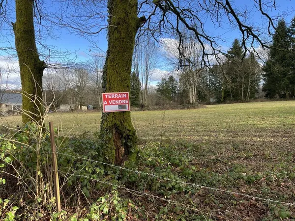 Grand terrain de près de 1,5 ha, 5 600 m² constructible