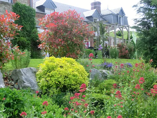 Photo 25