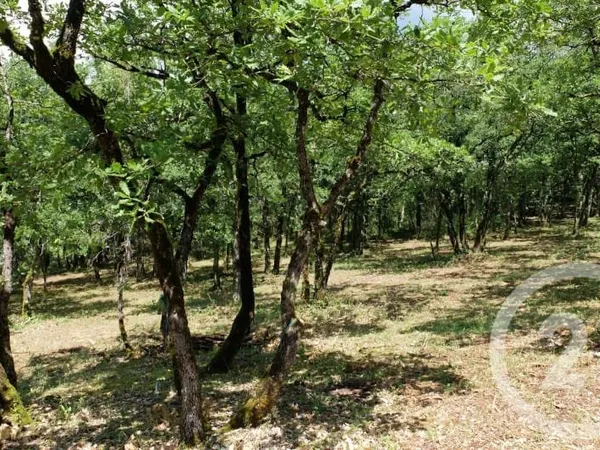 Terrain à bâtir 3143 m²