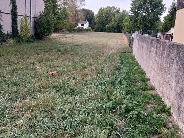 Terrain constructible