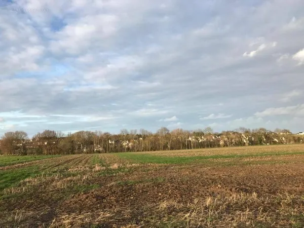Terrain 463 m²