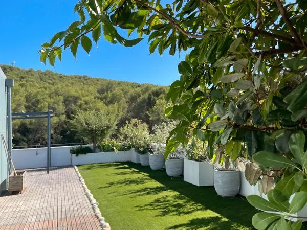 Appartement toit terrasse