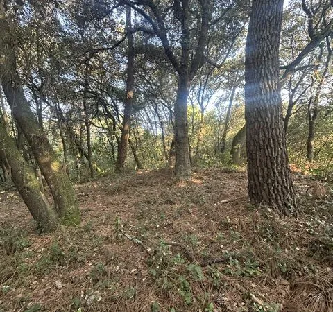 Terrain 1600 m² Soulac-sur-Mer