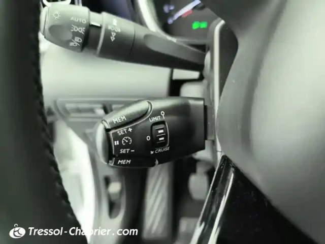 Citroën C3 Aircross puretech 110 s&amp;s bvm6 rip curl — photo 7