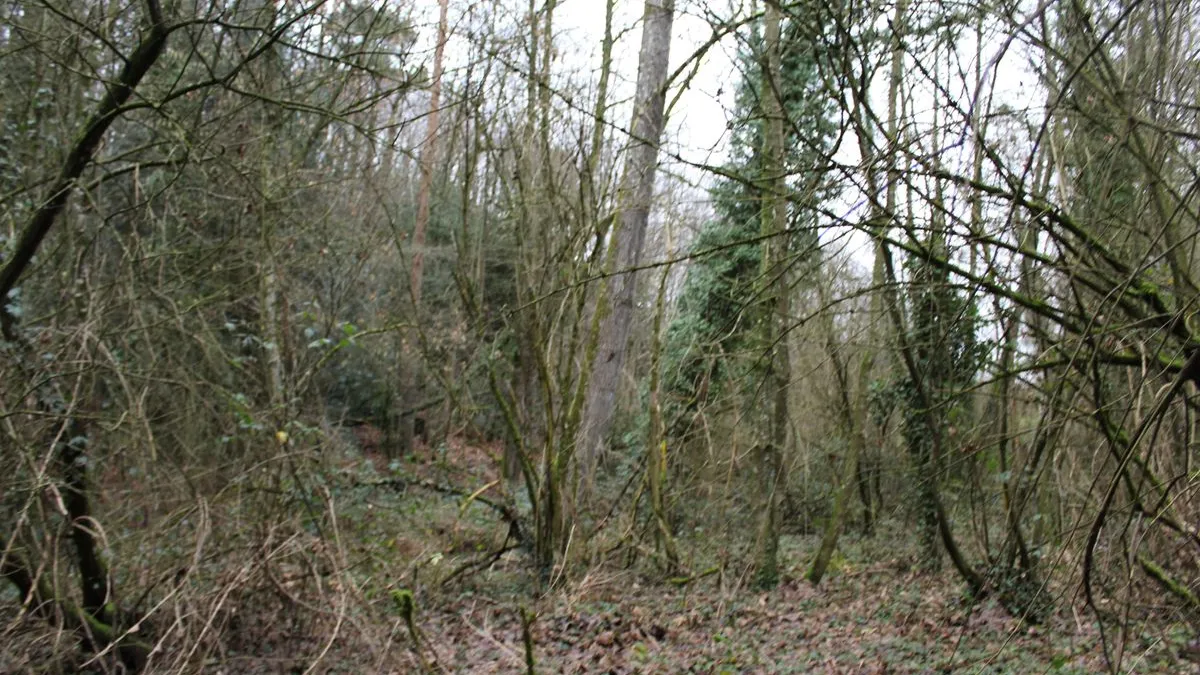 Photo 3