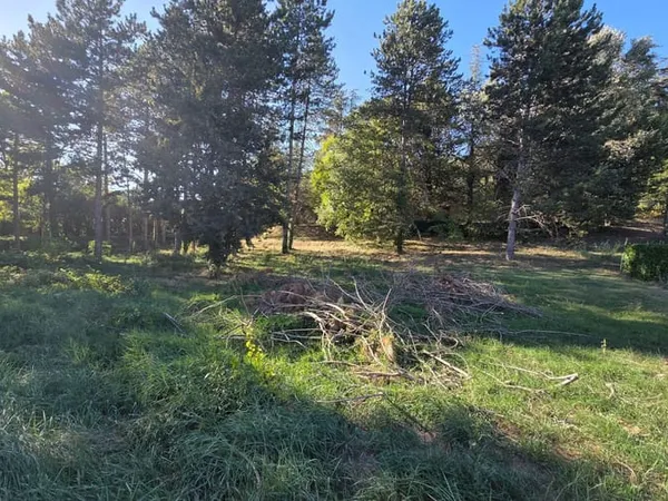 Terrain 1962 m²