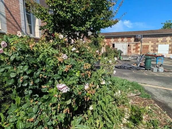 Maison 5 pièces 190 m²
