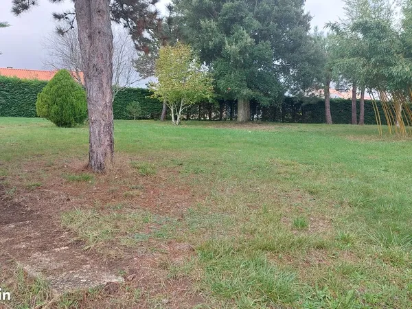 Terrain constructible