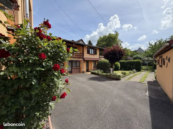 Bien immobilier de rendement Vente Reichshoffen   334000€