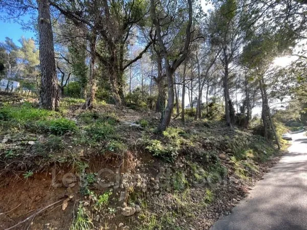 Terrain 10000 m²