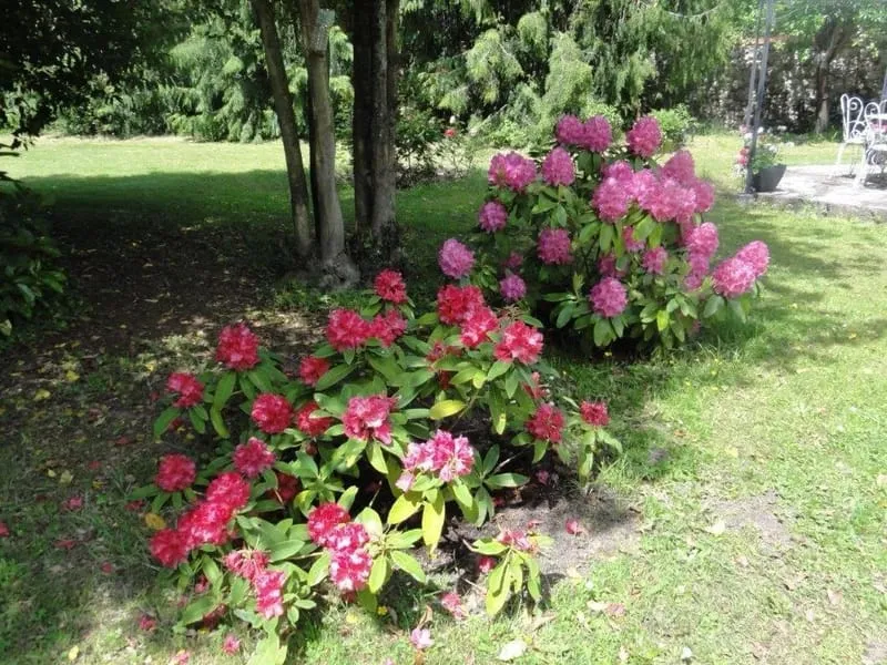 Photo 33
