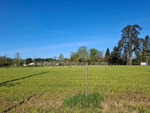 Terrain 2394 m²