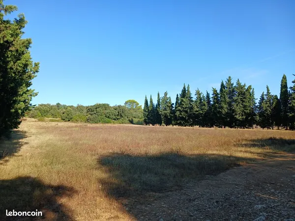 A vendre 2 terrains agricole en friche