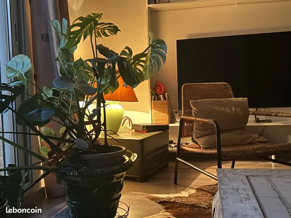 Appartement esprit maison T 3 avec jardin et garage