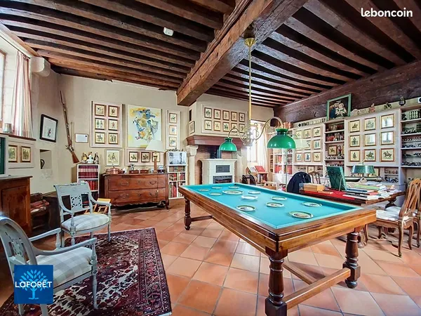 Hôtel particulier 11 pièces 350 m²