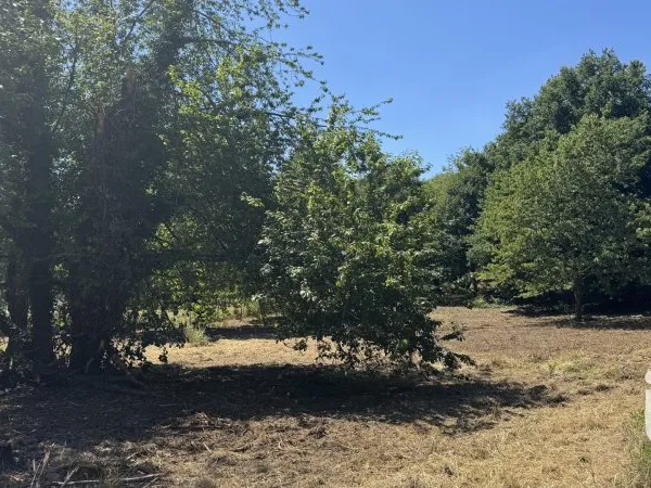 Terrain 2003 m²