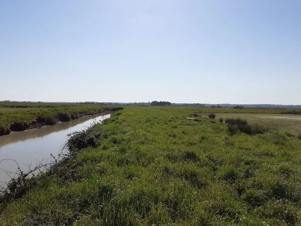 terrain agricole