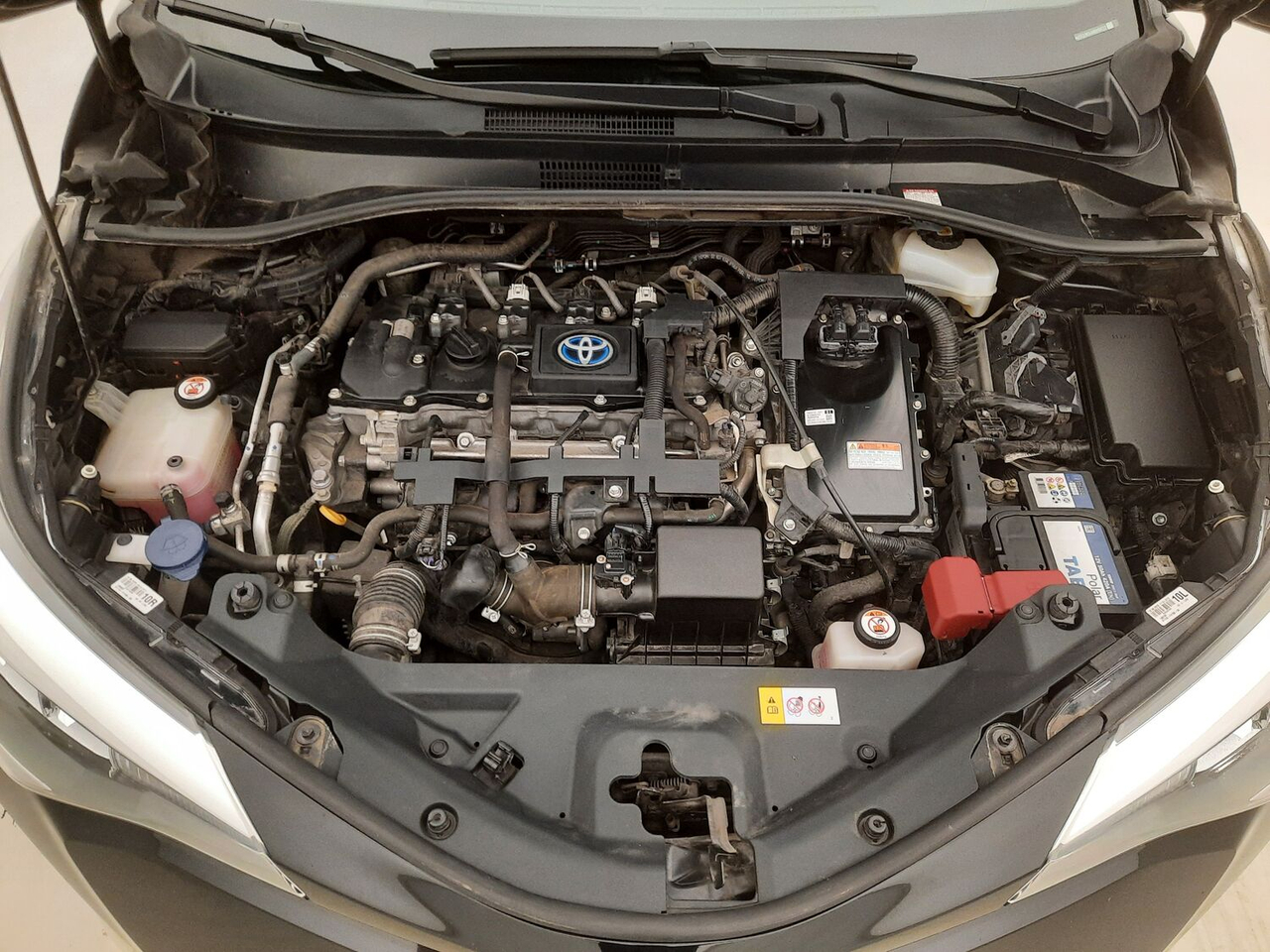 Toyota C-HR — photo 17