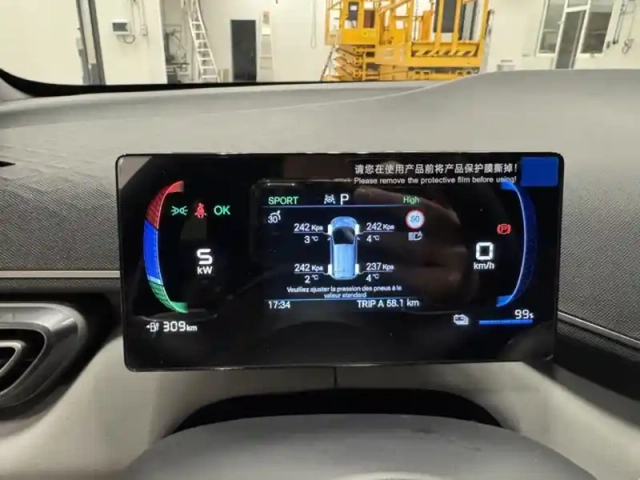Byd Dolphin surf comfort 115 kw — photo 29
