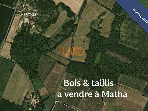Terrain 6400 m²